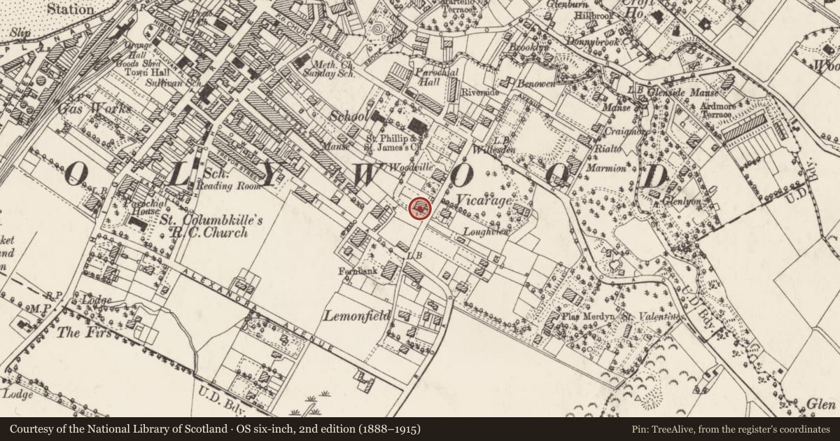 Ordnance Survey six-inch map, 2nd edition (1888–1915) covering the location of 5 Demesne Road, Holywood, Ards and North Down, with a pin at the register's coordinates