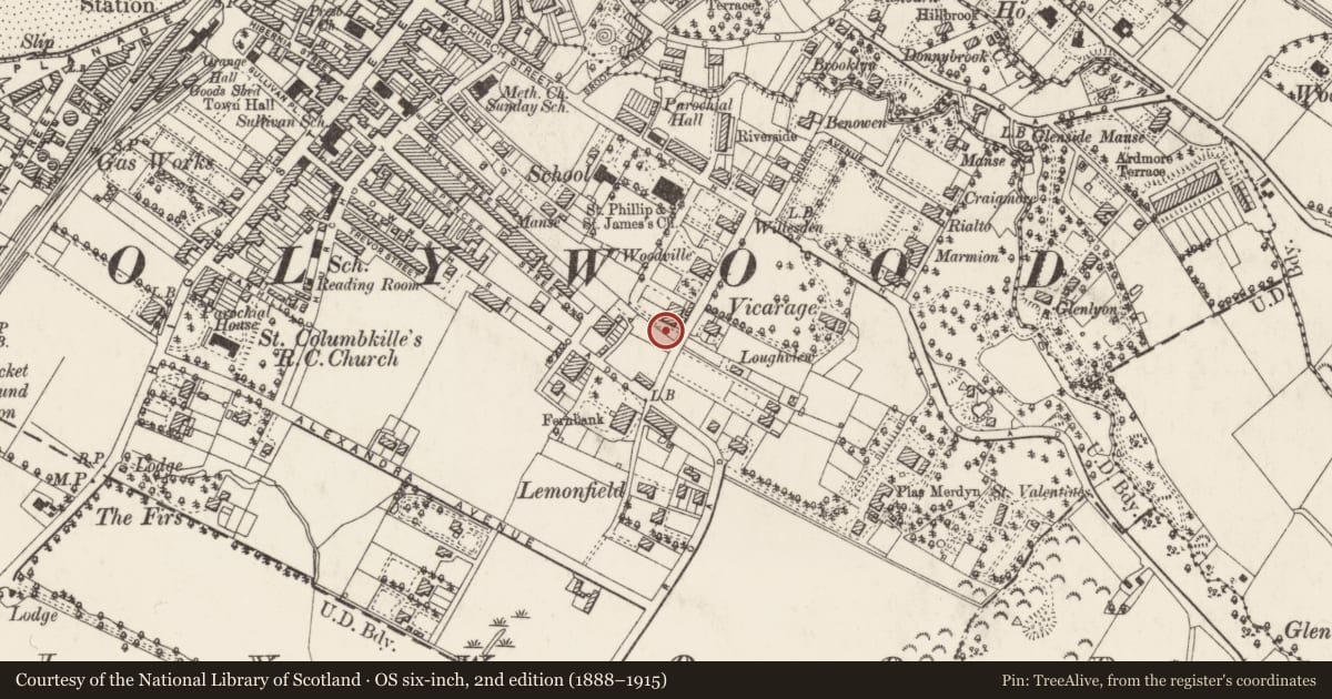 Ordnance Survey six-inch map, 2nd edition (1888–1915) covering the location of 7 Demesne Road, Holywood, Ards and North Down, with a pin at the register's coordinates