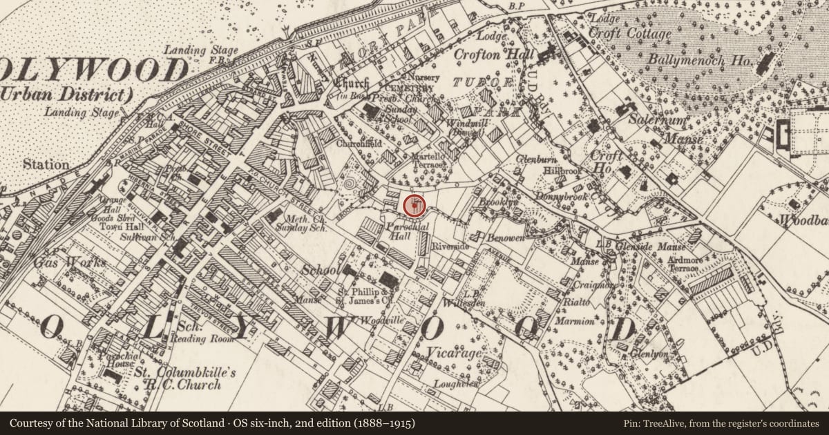 Ordnance Survey six-inch map, 2nd edition (1888–1915) covering the location of 39 Victoria Road, Ballykeel, Ards and North Down, with a pin at the register's coordinates