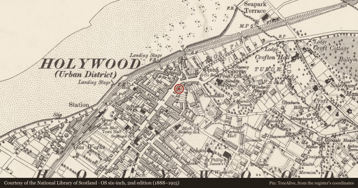 Ordnance Survey six-inch map, 2nd edition (1888–1915) covering the location of Johnny the Jig, Holywood, Ards and North Down, with a pin at the register's coordinates