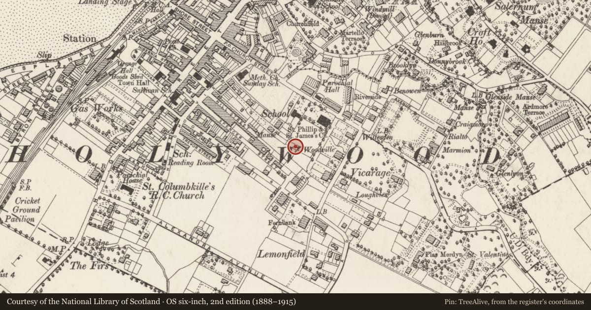 Ordnance Survey six-inch map, 2nd edition (1888–1915) covering the location of Holywood Primary School, Ards and North Down, with a pin at the register's coordinates