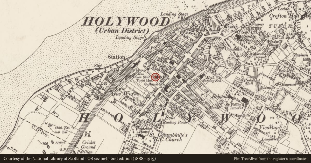 Ordnance Survey six-inch map, 2nd edition (1888–1915) covering the location of McCammon Memorial Masonic Hall, Holywood, Ards and North Down, with a pin at the register's coordinates