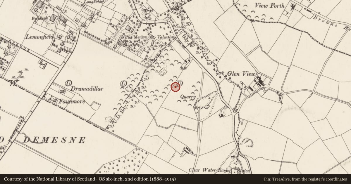 Ordnance Survey six-inch map, 2nd edition (1888–1915) covering the location of Priory Mearings, Ards and North Down, with a pin at the register's coordinates