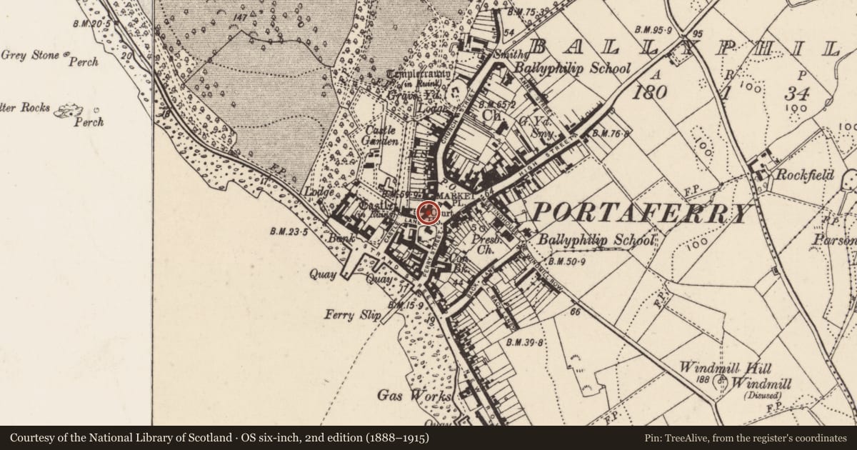 Ordnance Survey six-inch map, 2nd edition (1888–1915) covering the location of 22 The Square, Ballyphilip, Ards and North Down, with a pin at the register's coordinates