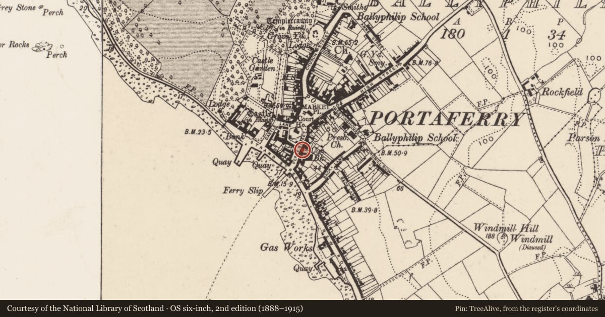 Ordnance Survey six-inch map, 2nd edition (1888–1915) covering the location of 16 Ferry Street, Ballyphilip, Ards and North Down, with a pin at the register's coordinates