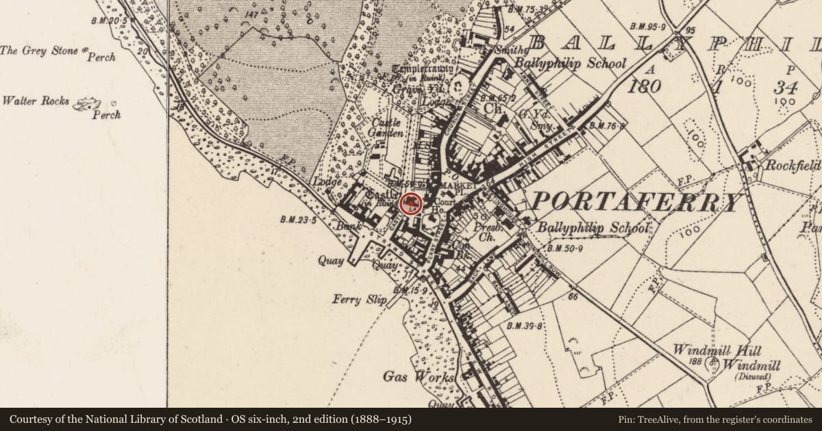 Ordnance Survey six-inch map, 2nd edition (1888–1915) covering the location of Castle Restaurant etc, Ballyphilip, Ards and North Down, with a pin at the register's coordinates