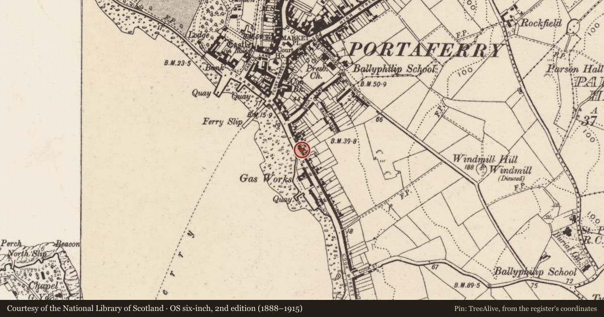 Ordnance Survey six-inch map, 2nd edition (1888–1915) covering the location of 38-40 Shore Road, Tullyboard, Ards and North Down, with a pin at the register's coordinates