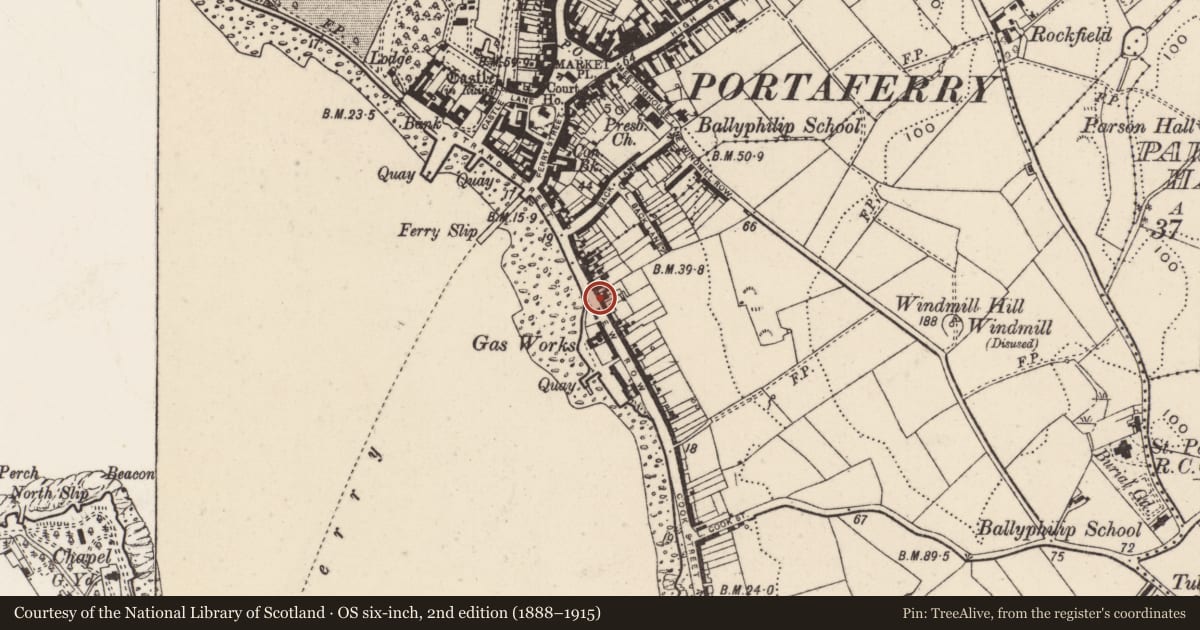 Ordnance Survey six-inch map, 2nd edition (1888–1915) covering the location of 42 Shore Road, Tullyboard, Ards and North Down, with a pin at the register's coordinates
