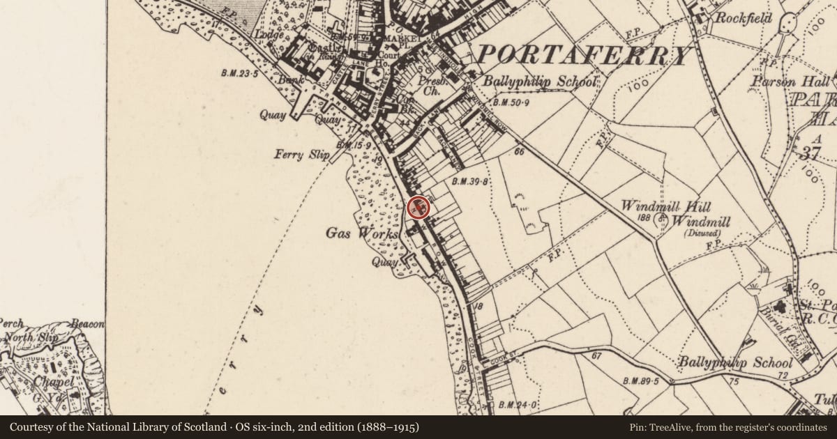 Ordnance Survey six-inch map, 2nd edition (1888–1915) covering the location of 46 Shore Road, Tullyboard, Ards and North Down, with a pin at the register's coordinates