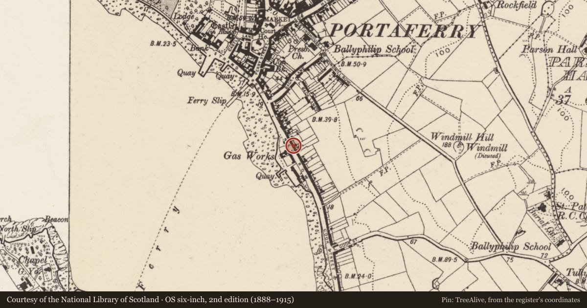 Ordnance Survey six-inch map, 2nd edition (1888–1915) covering the location of 52 Shore Road, Tullyboard, Ards and North Down, with a pin at the register's coordinates