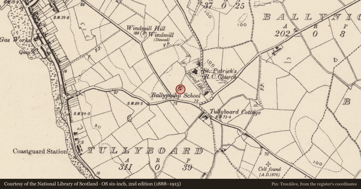 Ordnance Survey six-inch map, 2nd edition (1888–1915) covering the location of Ballyphilip Boys’ Primary School, Tullyboard, Ards and North Down, with a pin at the register's coordinates