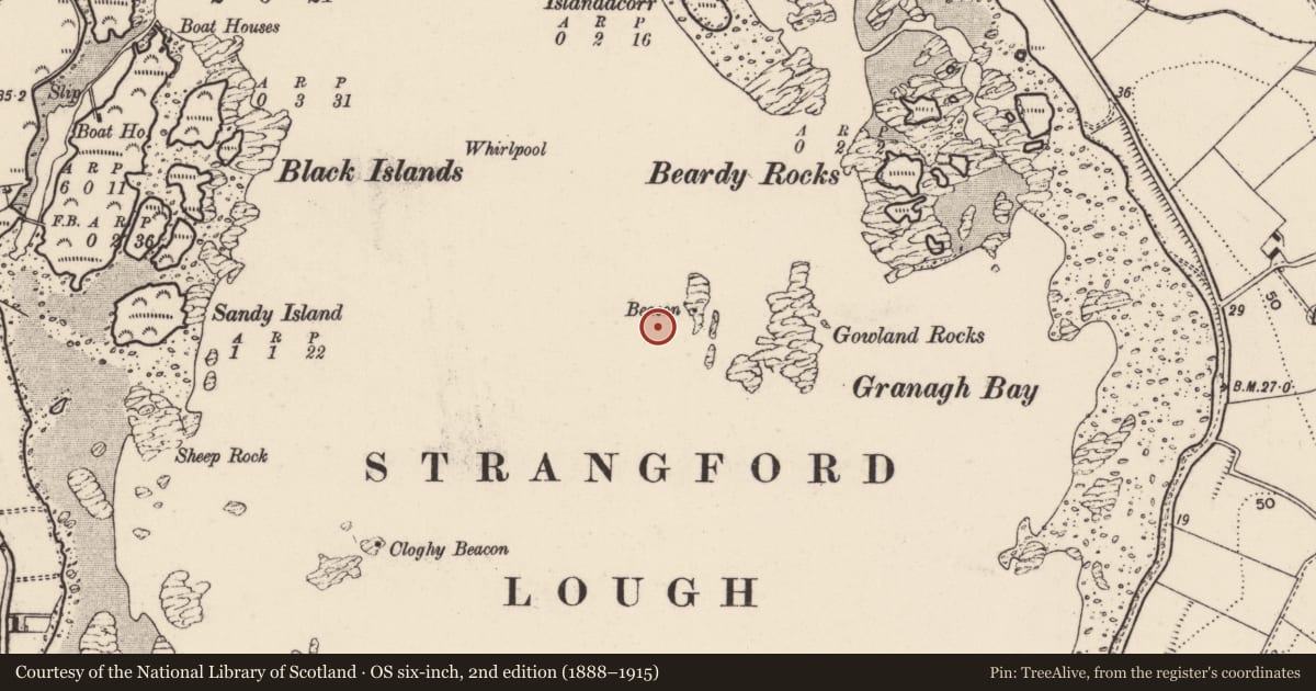 Ordnance Survey six-inch map, 2nd edition (1888–1915) covering the location of Marine navigation Beacon, Granagh, Ards and North Down, with a pin at the register's coordinates