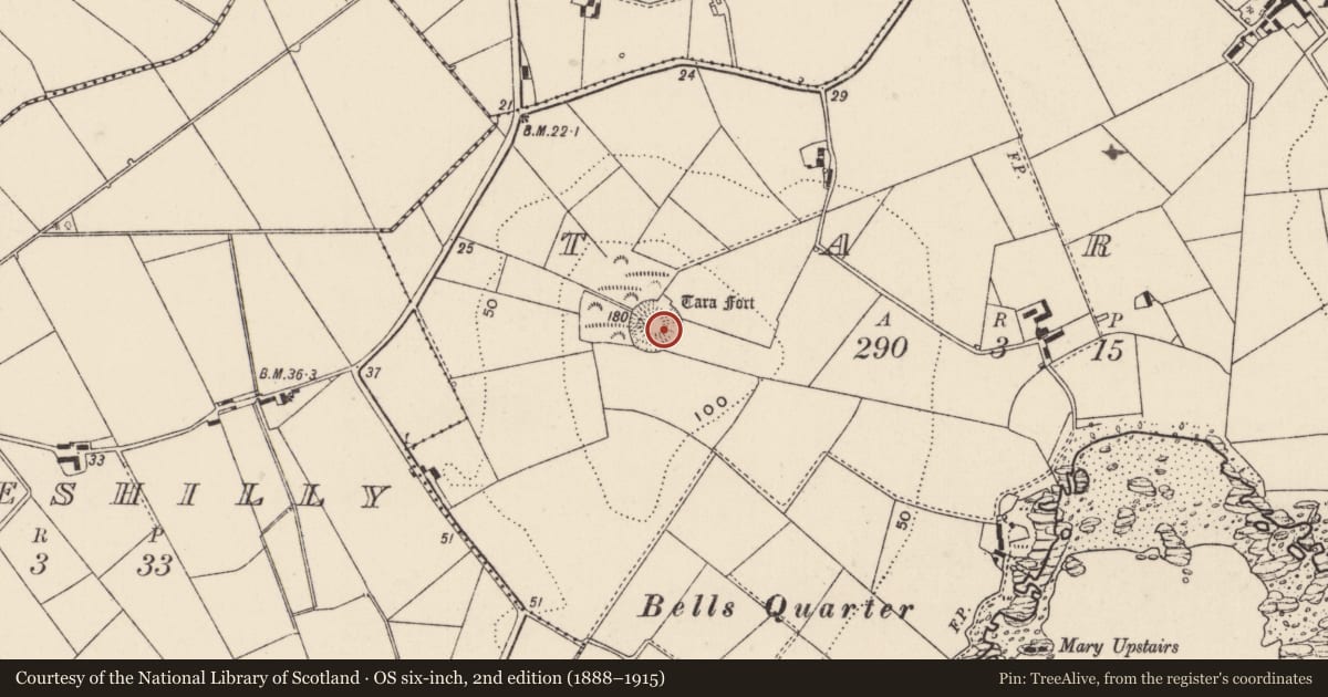 Ordnance Survey six-inch map, 2nd edition (1888–1915) covering the location of Tara Fort, Ards and North Down, with a pin at the register's coordinates