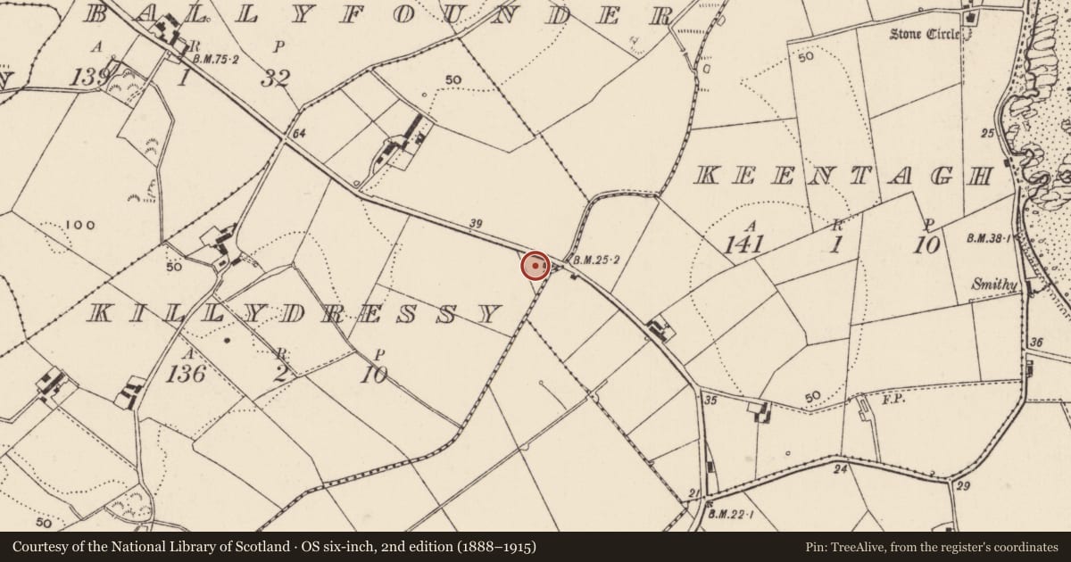 Ordnance Survey six-inch map, 2nd edition (1888–1915) covering the location of 19 Ballyfounder Road, Killydressy, Ards and North Down, with a pin at the register's coordinates