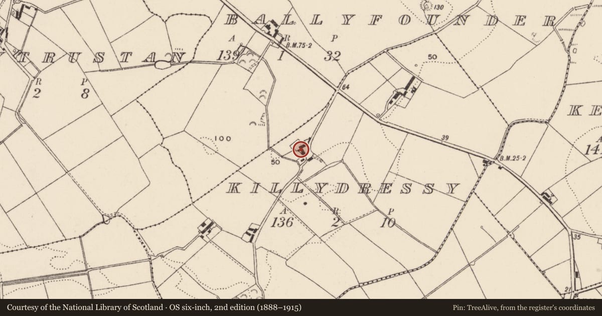 Ordnance Survey six-inch map, 2nd edition (1888–1915) covering the location of 11 Ballyfounder Road, Killydressy, Ards and North Down, with a pin at the register's coordinates