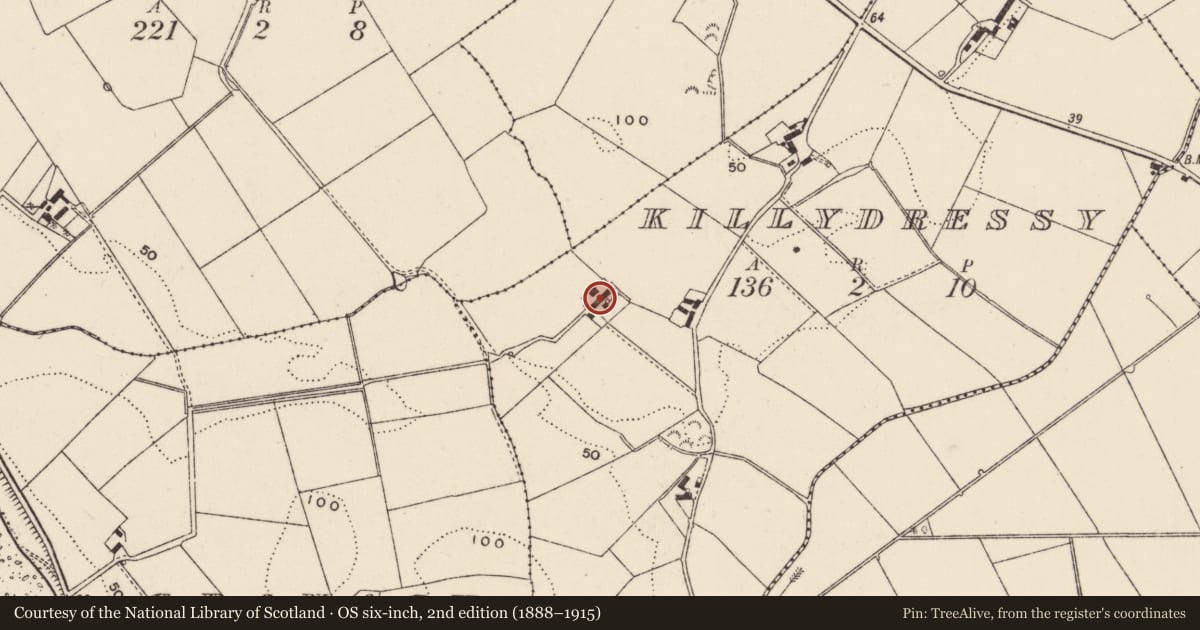 Ordnance Survey six-inch map, 2nd edition (1888–1915) covering the location of 15 Ballyfounder Road, Killydressy, Ards and North Down, with a pin at the register's coordinates