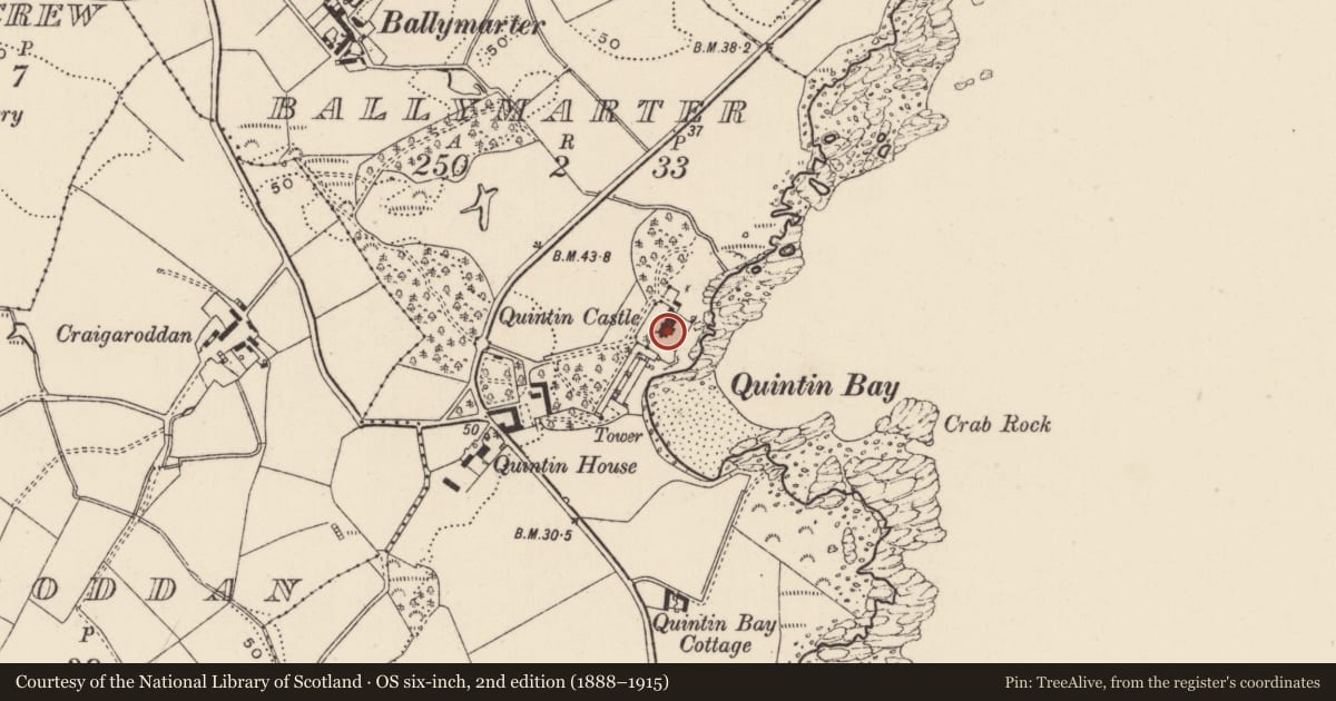 Ordnance Survey six-inch map, 2nd edition (1888–1915) covering the location of Quintin Castle, Ballymarter, Ards and North Down, with a pin at the register's coordinates