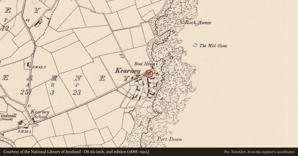 Ordnance Survey six-inch map, 2nd edition (1888–1915) covering the location of 3 Kearney Village, Ards and North Down, with a pin at the register's coordinates