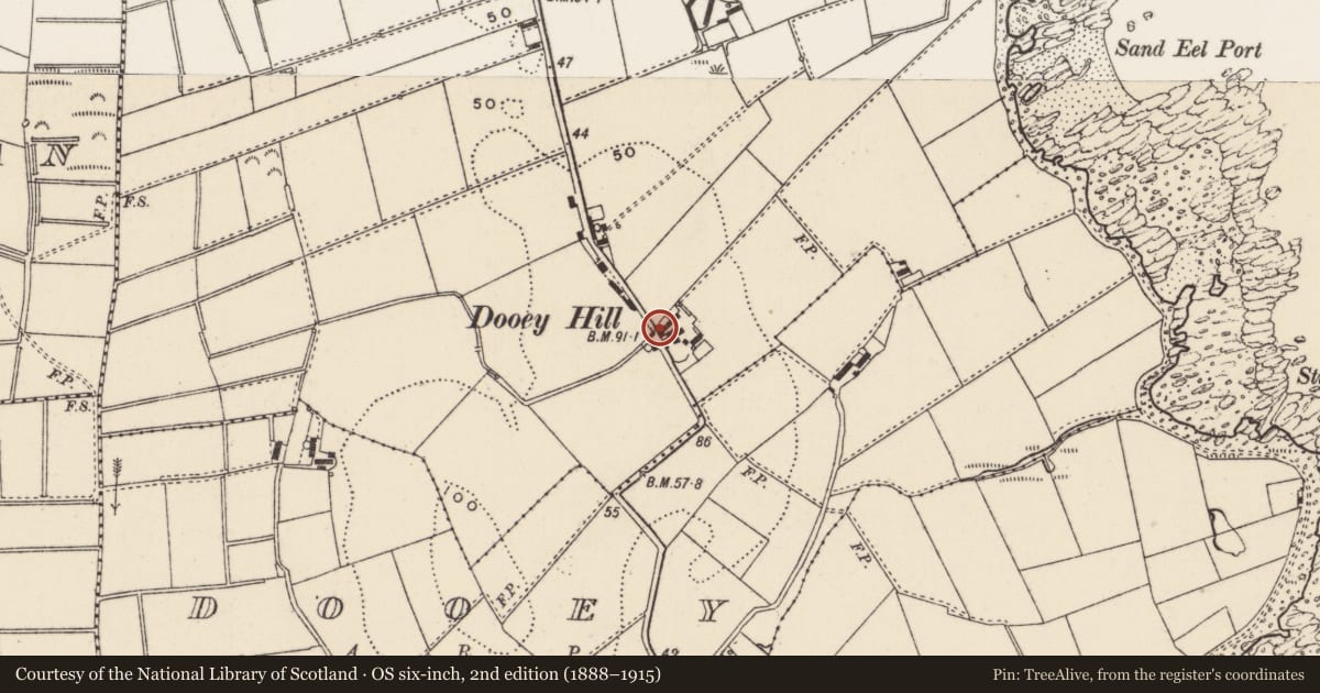Ordnance Survey six-inch map, 2nd edition (1888–1915) covering the location of 15 Newcastle Road, Ards and North Down, with a pin at the register's coordinates