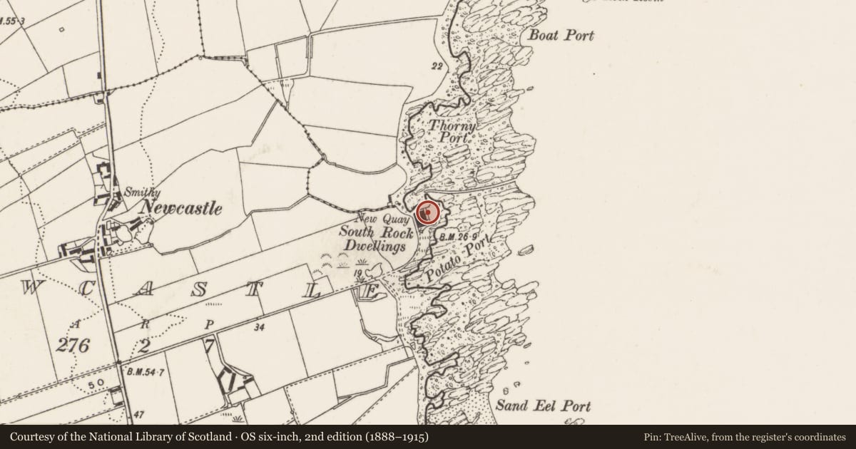 Ordnance Survey six-inch map, 2nd edition (1888–1915) covering the location of South Rock Dwellings, Newcastle, Ards and North Down, with a pin at the register's coordinates