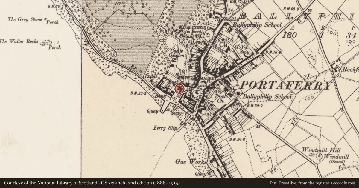 Ordnance Survey six-inch map, 2nd edition (1888–1915) covering the location of Portaferry Castle, Ballymurphy, Ards and North Down, with a pin at the register's coordinates