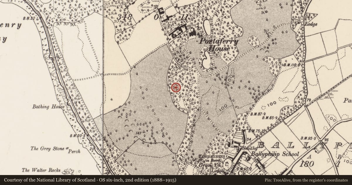 Ordnance Survey six-inch map, 2nd edition (1888–1915) covering the location of ‘Folly’, Ballymurphy, Ards and North Down, with a pin at the register's coordinates