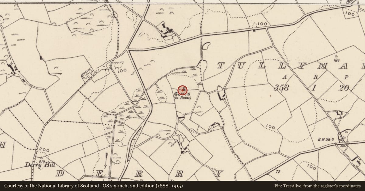 Ordnance Survey six-inch map, 2nd edition (1888–1915) covering the location of Derry Churches, Ards and North Down, with a pin at the register's coordinates