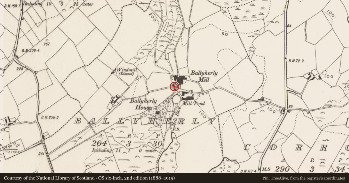 Ordnance Survey six-inch map, 2nd edition (1888–1915) covering the location of 14 Deerpark Road, Ballyherly, Ards and North Down, with a pin at the register's coordinates