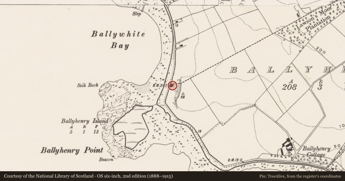 Ordnance Survey six-inch map, 2nd edition (1888–1915) covering the location of Curlew Cottage, Ballyhenry, Ards and North Down, with a pin at the register's coordinates