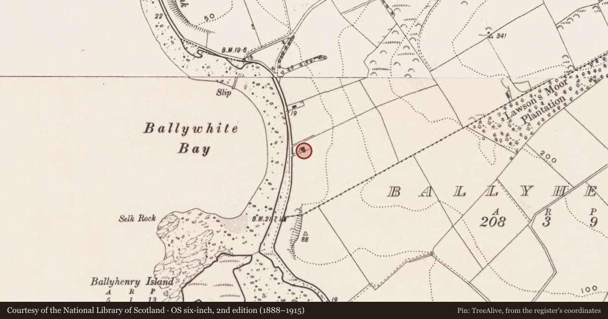 Ordnance Survey six-inch map, 2nd edition (1888–1915) covering the location of 9 Lough Shore Road, Ballywhite, Ards and North Down, with a pin at the register's coordinates