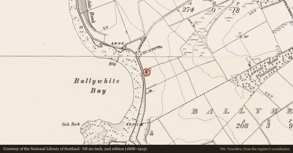 Ordnance Survey six-inch map, 2nd edition (1888–1915) covering the location of 11 Lough Shore Road, Ballywhite, Ards and North Down, with a pin at the register's coordinates