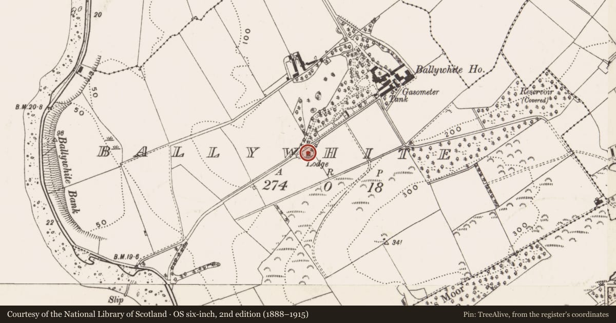 Ordnance Survey six-inch map, 2nd edition (1888–1915) covering the location of The Lodge, Ballywhite, Ards and North Down, with a pin at the register's coordinates