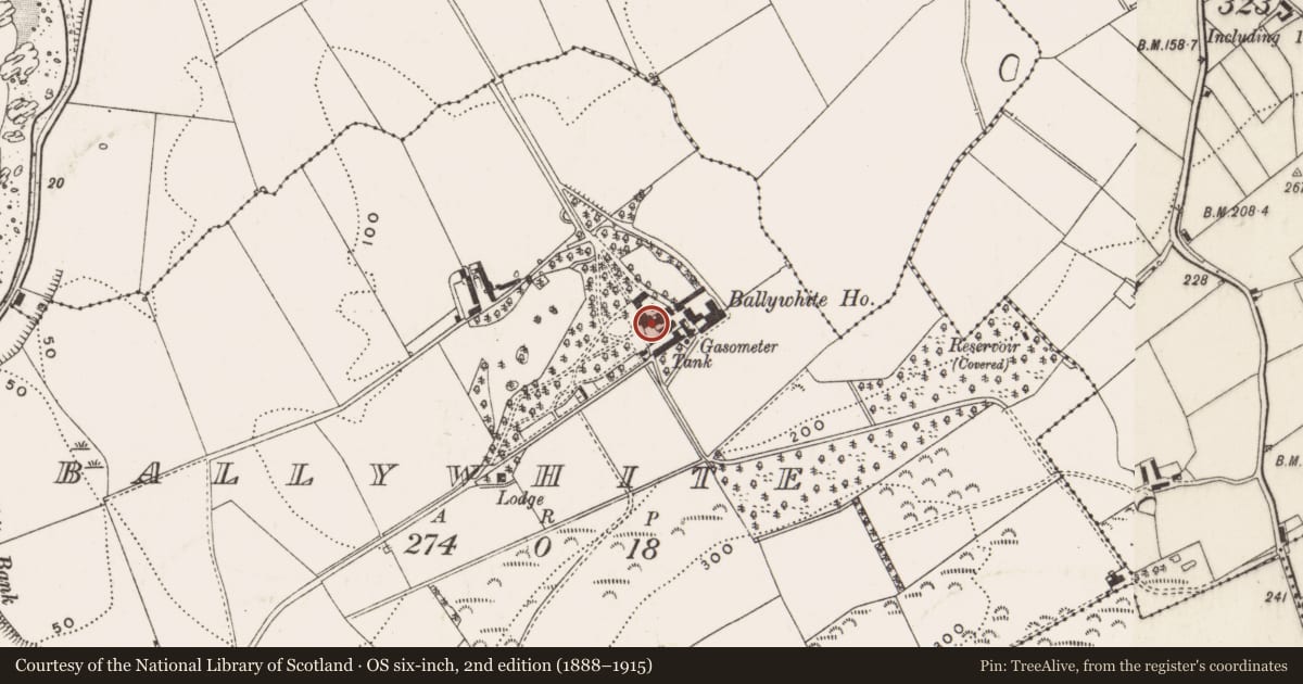 Ordnance Survey six-inch map, 2nd edition (1888–1915) covering the location of Ballywhite House, Ards and North Down, with a pin at the register's coordinates