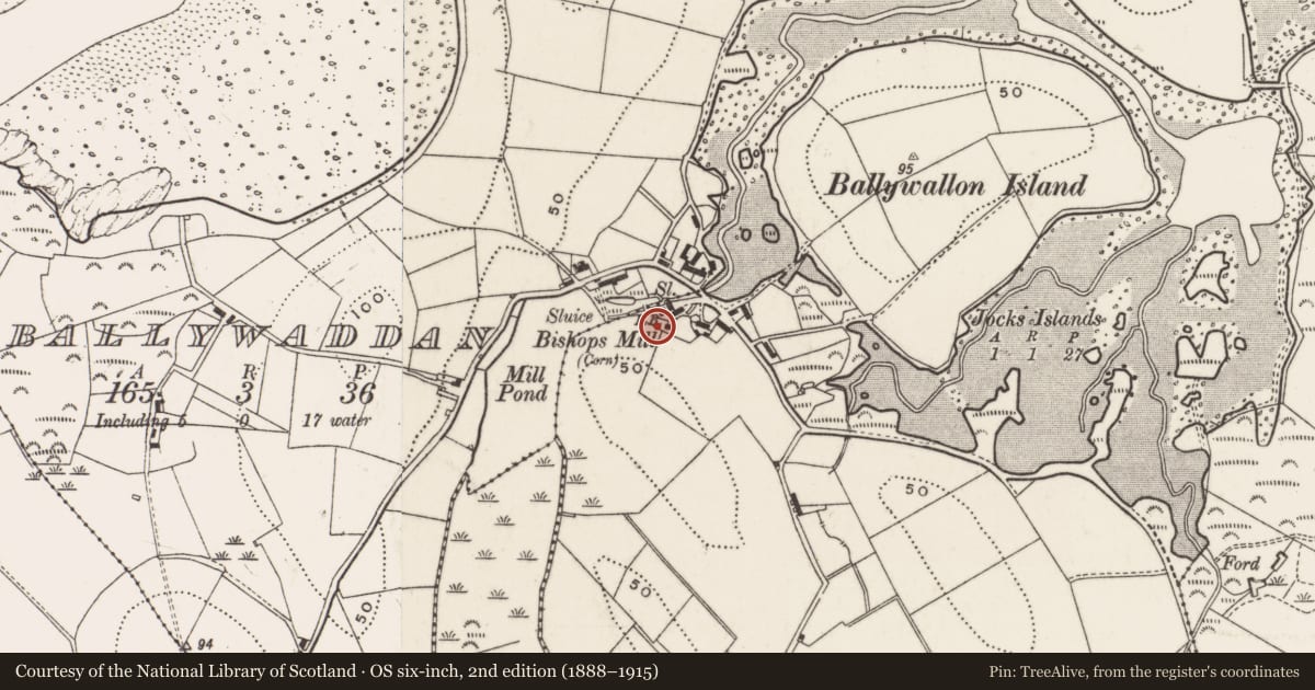 Ordnance Survey six-inch map, 2nd edition (1888–1915) covering the location of Bishop’s Mill, Ballywallon, Ards and North Down, with a pin at the register's coordinates