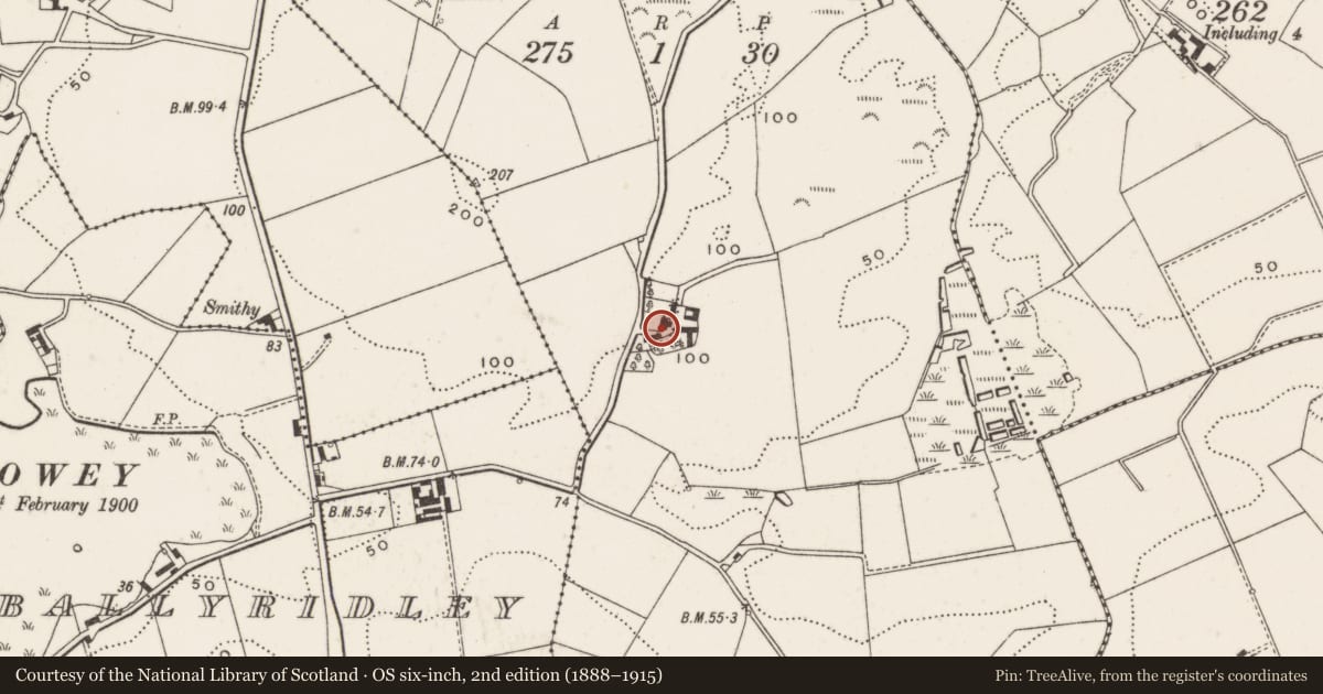 Ordnance Survey six-inch map, 2nd edition (1888–1915) covering the location of Ivy Grove, Ballyward, Ards and North Down, with a pin at the register's coordinates