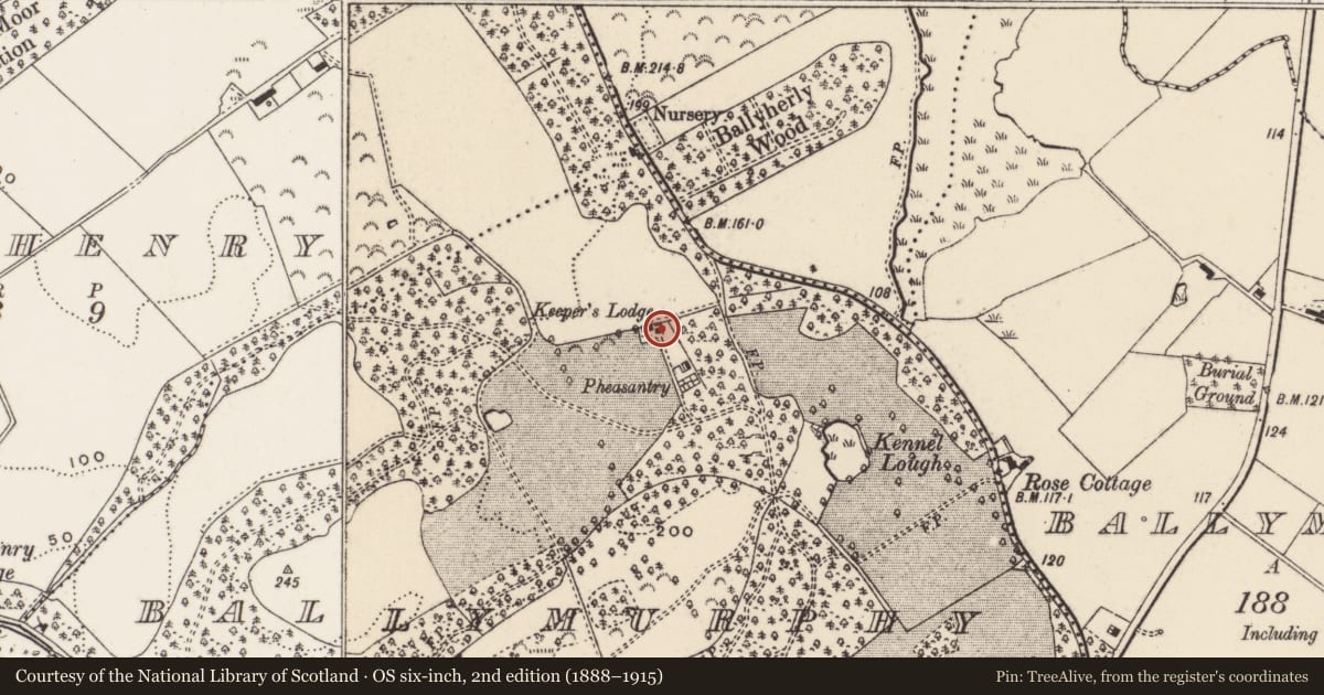 Ordnance Survey six-inch map, 2nd edition (1888–1915) covering the location of The Game Keeper’s Cottage, Ballymurphy, Ards and North Down, with a pin at the register's coordinates
