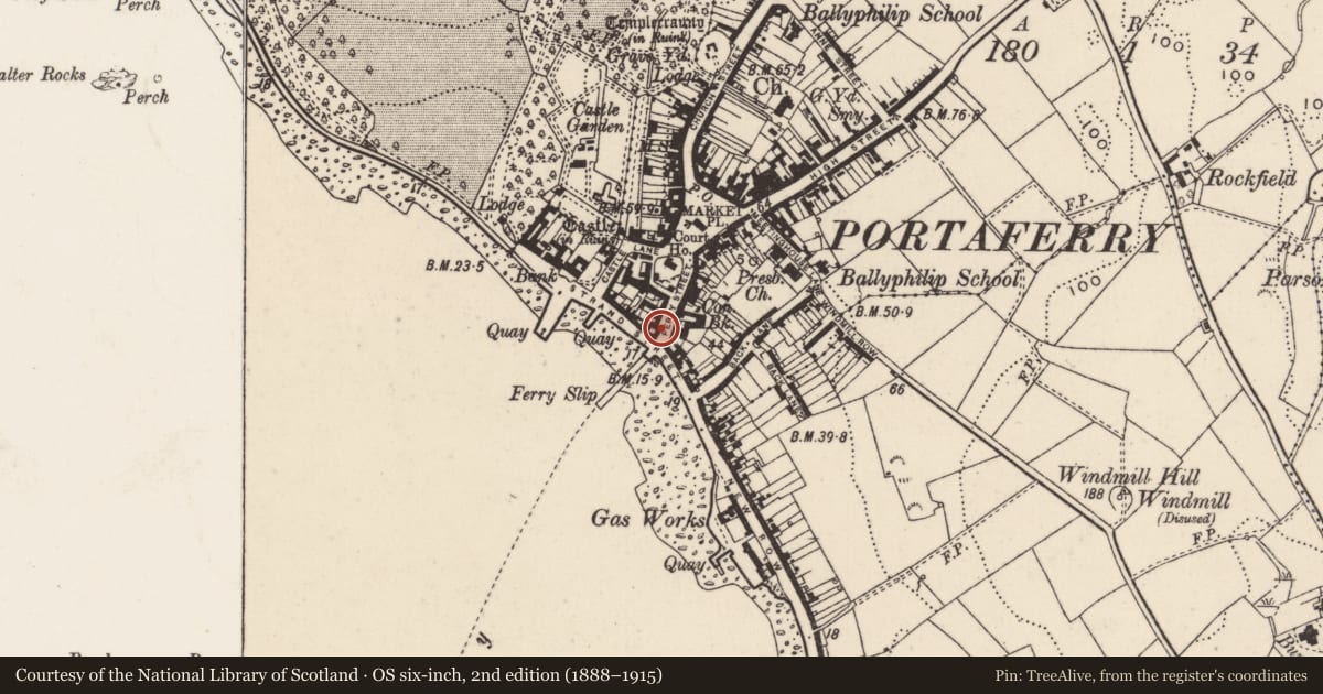 Ordnance Survey six-inch map, 2nd edition (1888–1915) covering the location of 13 Ferry Street, Ballyphilip, Ards and North Down, with a pin at the register's coordinates