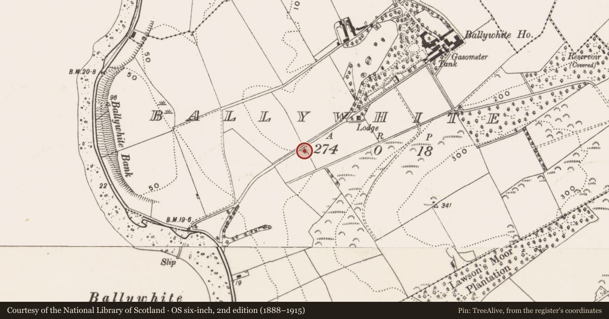 Ordnance Survey six-inch map, 2nd edition (1888–1915) covering the location of Lime Kiln, Ballywhite, Ards and North Down, with a pin at the register's coordinates