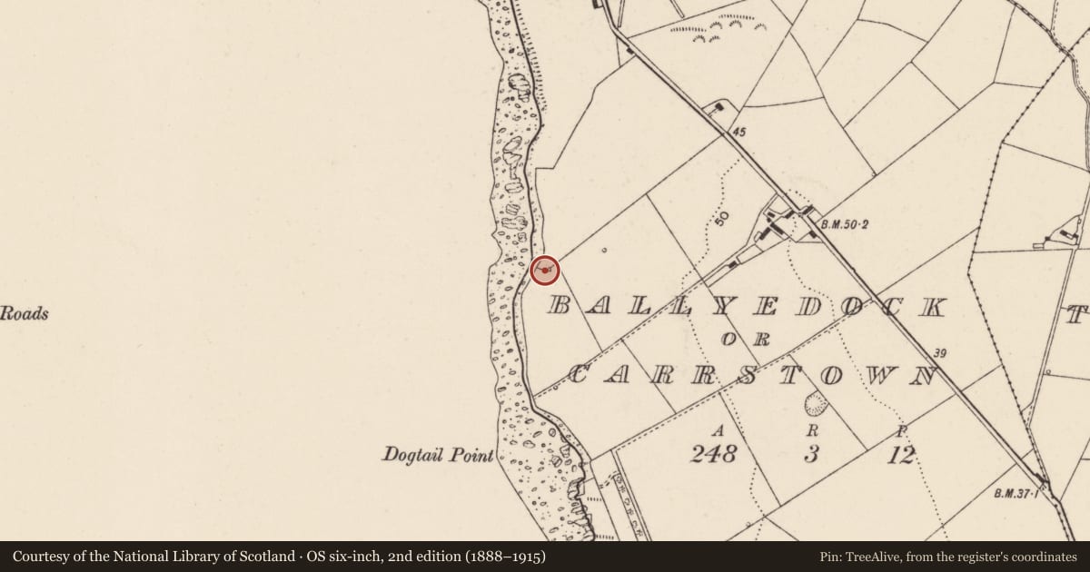 Ordnance Survey six-inch map, 2nd edition (1888–1915) covering the location of Lime Kiln, Ballydock, Ards and North Down, with a pin at the register's coordinates