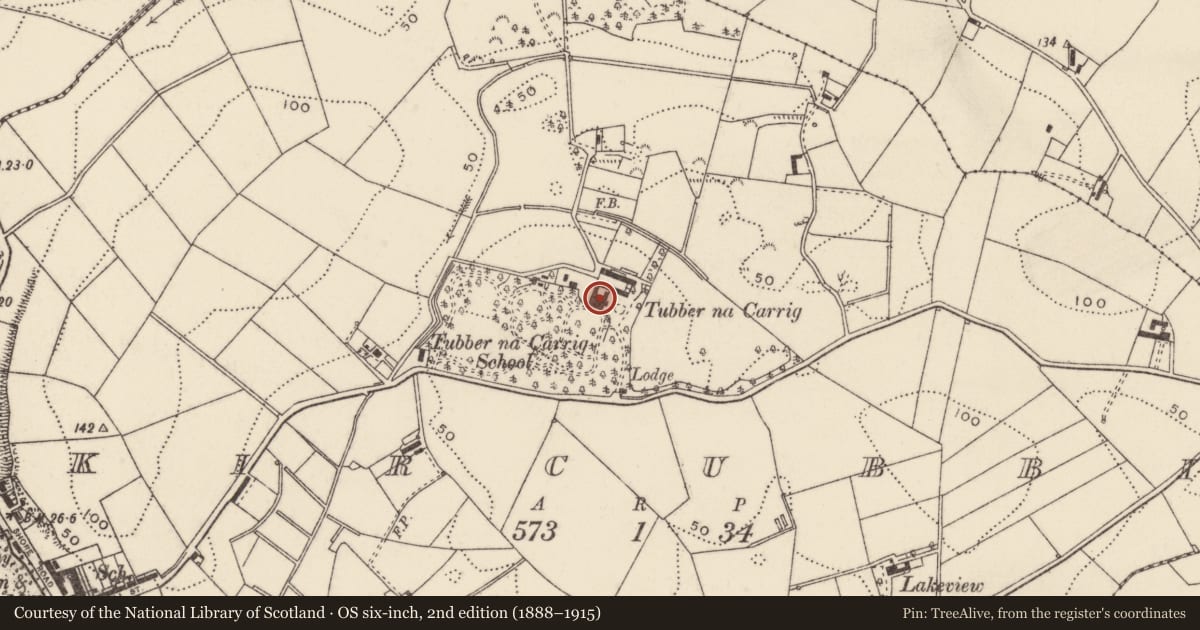 Ordnance Survey six-inch map, 2nd edition (1888–1915) covering the location of ’Tubber na Carrig’, Kircubbin, Ards and North Down, with a pin at the register's coordinates