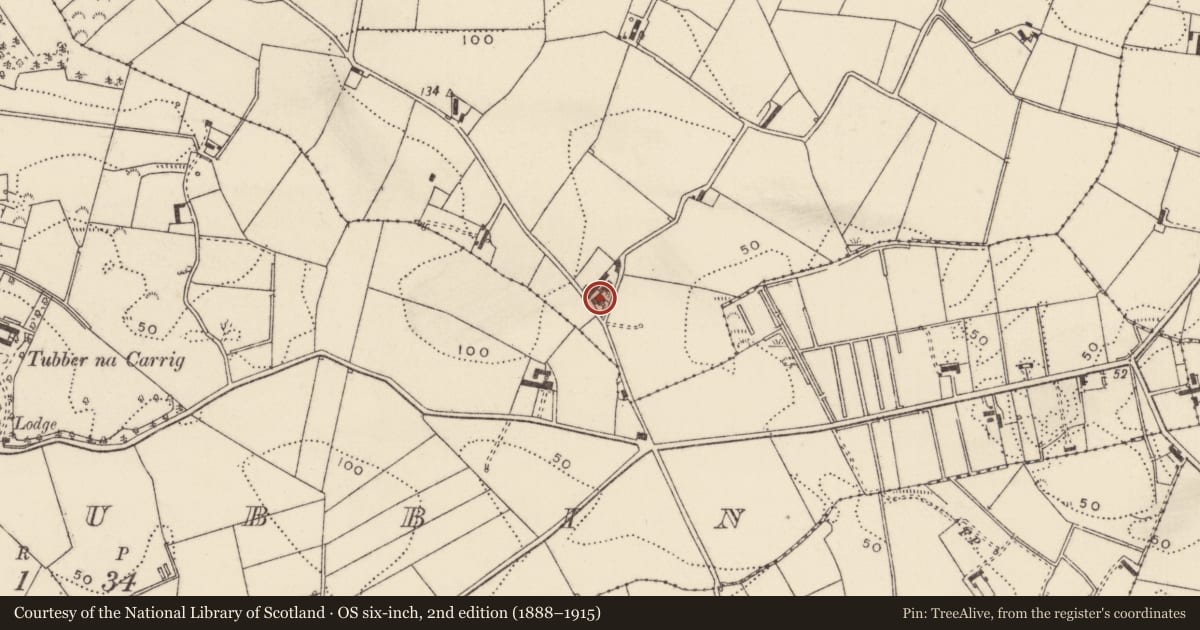 Ordnance Survey six-inch map, 2nd edition (1888–1915) covering the location of 2 Glastry Road, Inishargy, Ards and North Down, with a pin at the register's coordinates