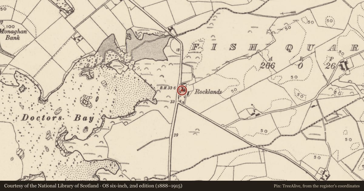 Ordnance Survey six-inch map, 2nd edition (1888–1915) covering the location of ’Rocklands’, Fish Quarter, Ards and North Down, with a pin at the register's coordinates