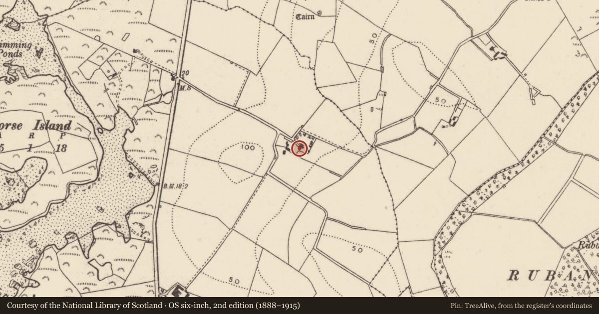 Ordnance Survey six-inch map, 2nd edition (1888–1915) covering the location of 26 Rowreagh Road, Gransha, Ards and North Down, with a pin at the register's coordinates