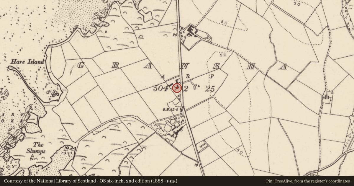 Ordnance Survey six-inch map, 2nd edition (1888–1915) covering the location of 35 Rowreagh Road, Gransha, Ards and North Down, with a pin at the register's coordinates