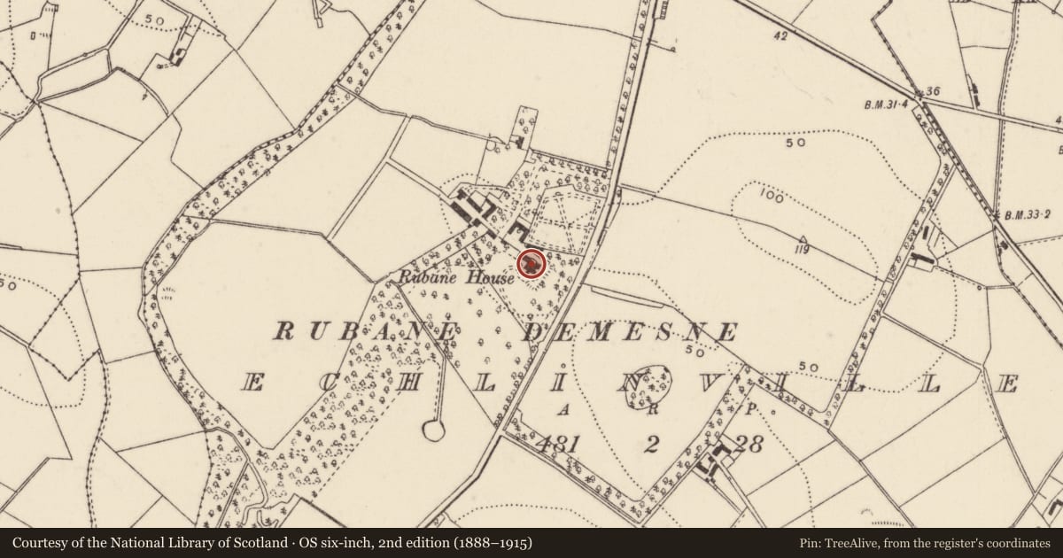 Ordnance Survey six-inch map, 2nd edition (1888–1915) covering the location of Rubane House, Echlinville, Ards and North Down, with a pin at the register's coordinates