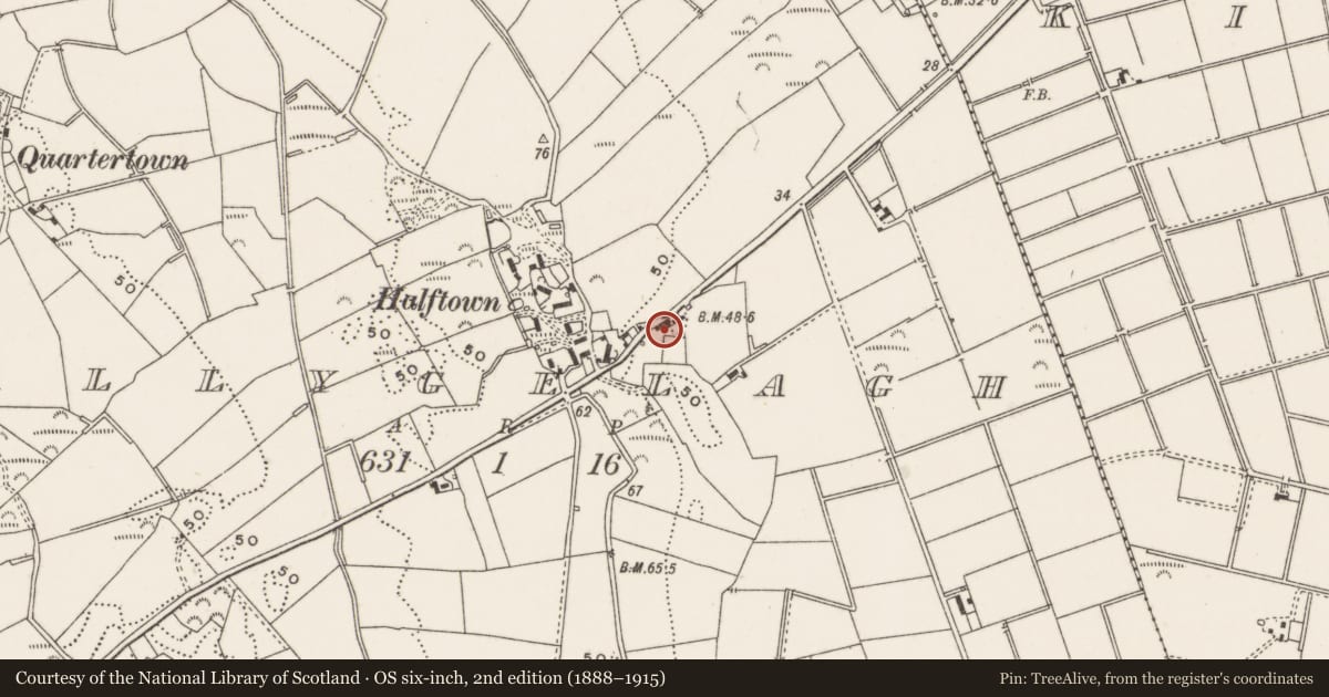 Ordnance Survey six-inch map, 2nd edition (1888–1915) covering the location of 27 Ballygelagh Road, Ards and North Down, with a pin at the register's coordinates