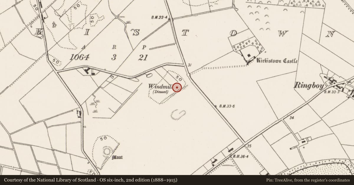 Ordnance Survey six-inch map, 2nd edition (1888–1915) covering the location of Old Windmill, Kirkistown, Ards and North Down, with a pin at the register's coordinates