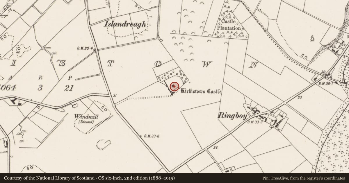 Ordnance Survey six-inch map, 2nd edition (1888–1915) covering the location of Kirkistown Castle, Ards and North Down, with a pin at the register's coordinates