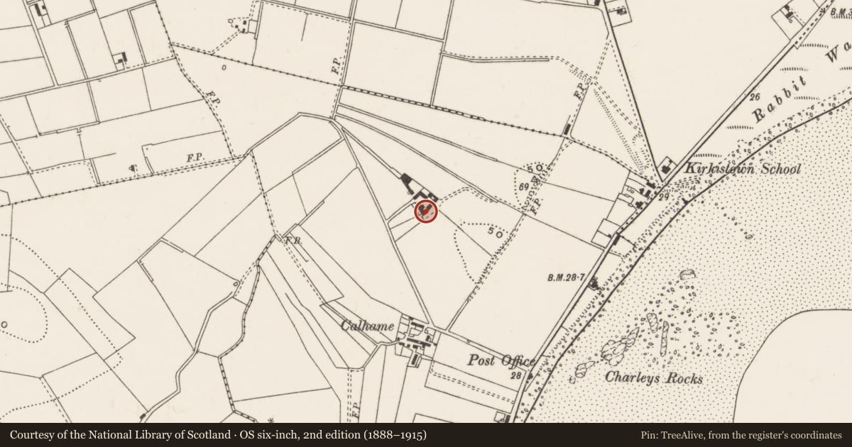 Ordnance Survey six-inch map, 2nd edition (1888–1915) covering the location of ’Thorndale’, Cloghy, Ards and North Down, with a pin at the register's coordinates