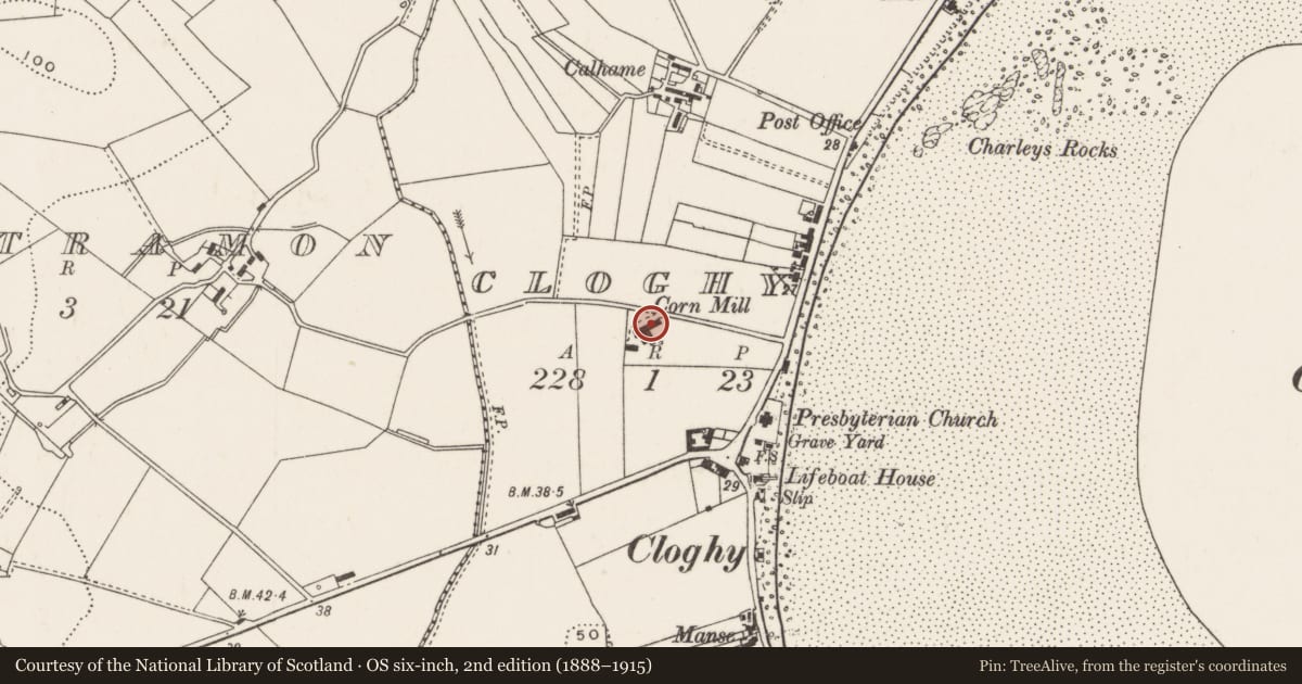 Ordnance Survey six-inch map, 2nd edition (1888–1915) covering the location of Old Corn Mill, Cloghy, Ards and North Down, with a pin at the register's coordinates